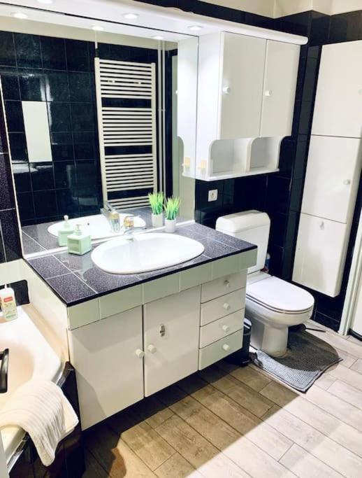 Apartament Tour De L'Europe, En Plein Centre Avec Parking. Miluza Zewnętrze zdjęcie
