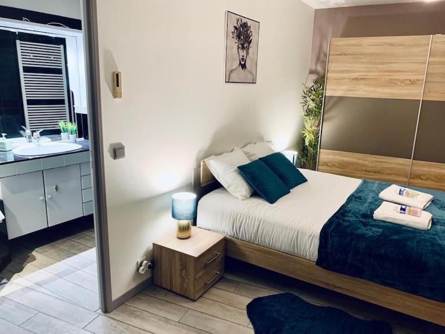 Apartament Tour De L'Europe, En Plein Centre Avec Parking. Miluza Zewnętrze zdjęcie
