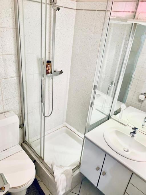Apartament Tour De L'Europe, En Plein Centre Avec Parking. Miluza Zewnętrze zdjęcie
